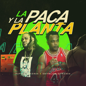 La Paca y la Planta