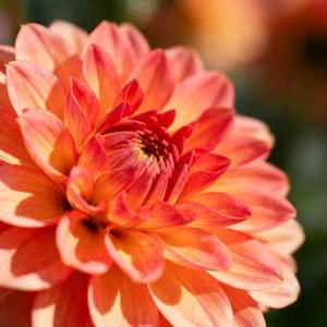 此刻最好的都在身边 (11 Remix)