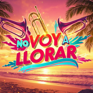 NO VOY A LLORAR