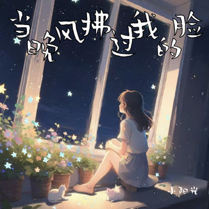 当晚风拂过我的脸