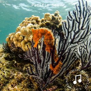 Missing Movers & Shakers