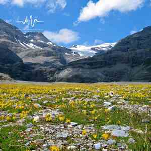 也许晴天 (吉他)