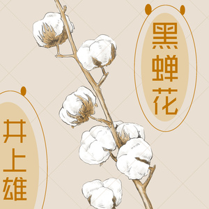 黑蝉花
