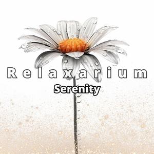 Tranquil Moments