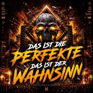 DIE PERFEKTE — WAHNSINN