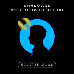 Turbulence Widow Kiss