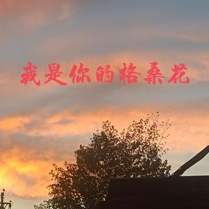 我是你的格桑花