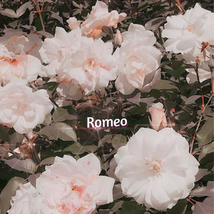 Romeo