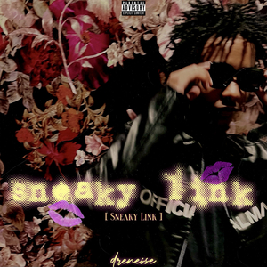 Sneaky Link