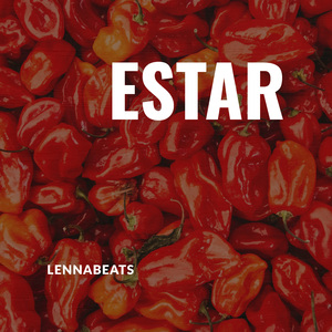 Estar