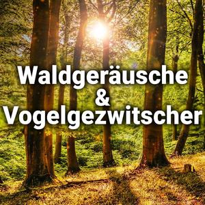 Waldmusik
