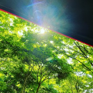 겨울 아침에 걸친 너