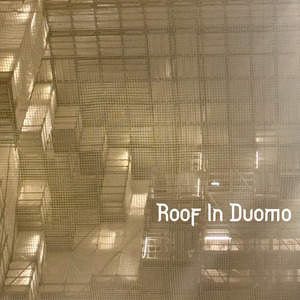 The Roof In Duomo