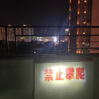 说不上爱别揪蝉