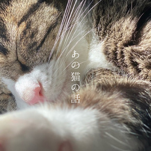 あの猫の話