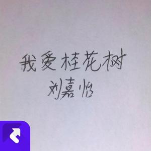 我爱桂花树 (现场)