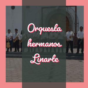 El ocotal