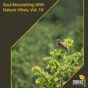 Peaceful New York Ocean