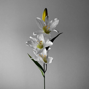 エラー (feat. 初音ミク)