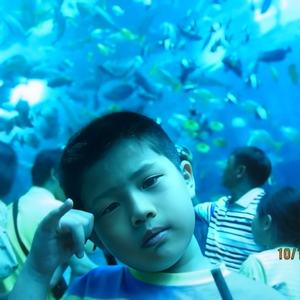 你覺得自己很*嗎 ? (嘻哈博士DISS)