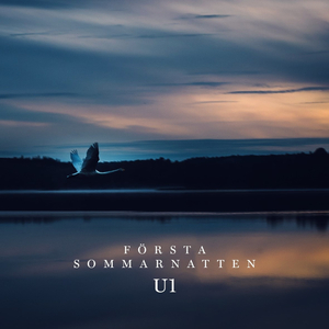 Första sommarnatten