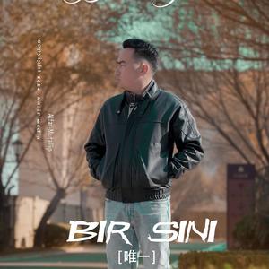 Bir sini