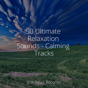 Echoes of Ember Skies