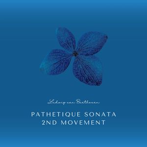 Beethoven:Pathetique Sonata 2nd Movement