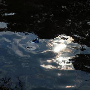 飘向北方（live)（cover 那吾克热-NW/尤长靖）