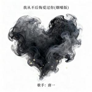 我从不后悔爱过你 (烟嗓版)