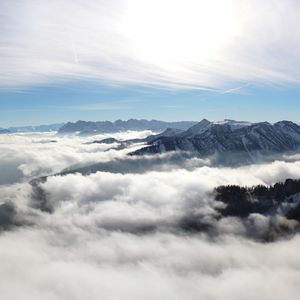 消灭水煎包