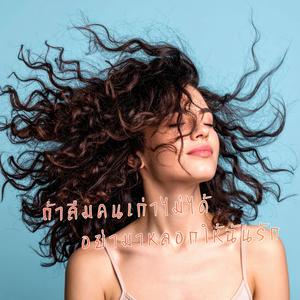 ถ้าลืมคนเก่าไม่ได้อย่ามาหลอกให้ฉันรัก