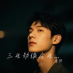 三生劫续今生缘