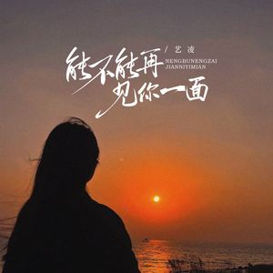 能不能再见你一面