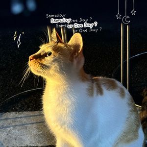 梦里面的我们在一起很久很久