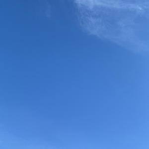 blossom-j3c