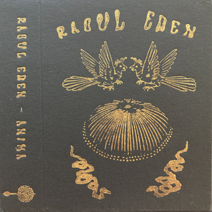 Rien ne me Protège du Frottement des Astres