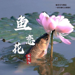 鱼恋花