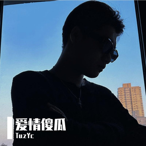 情感傻瓜
