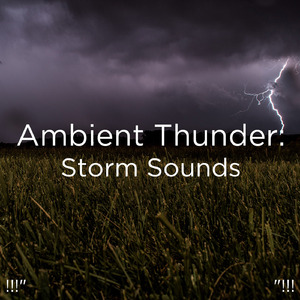 放松的声音睡眠