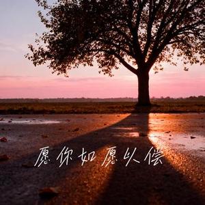 愿你如愿以偿 (Cover 王佳音)