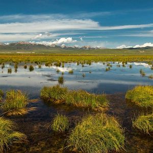 荆棘路上的逐梦之旅