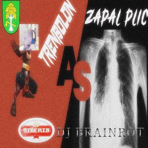 zápal plic (feat. DJ Bánov, DJ lamka, DJ právník & DJ Plukovník) (afghanistan still water gym testosterone remix)