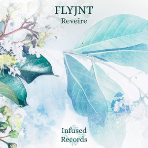 Reveire (Original Radio Mix)