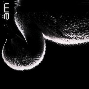 Cygnet Sequence