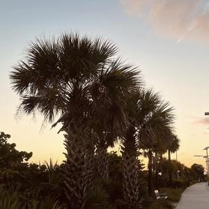 SOMETHING ABOUT YOU (DEMO)