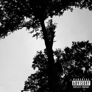 2:29 PM