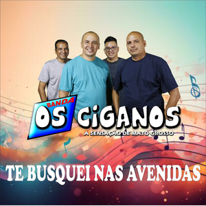 Te Busquei nas Avenidas (Live)