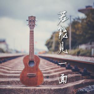 若能见一面 (伴奏)