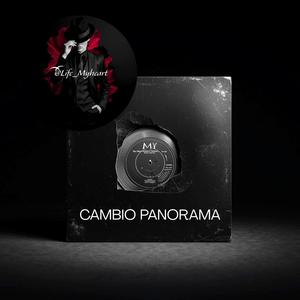 CAMBIO PANORAMA